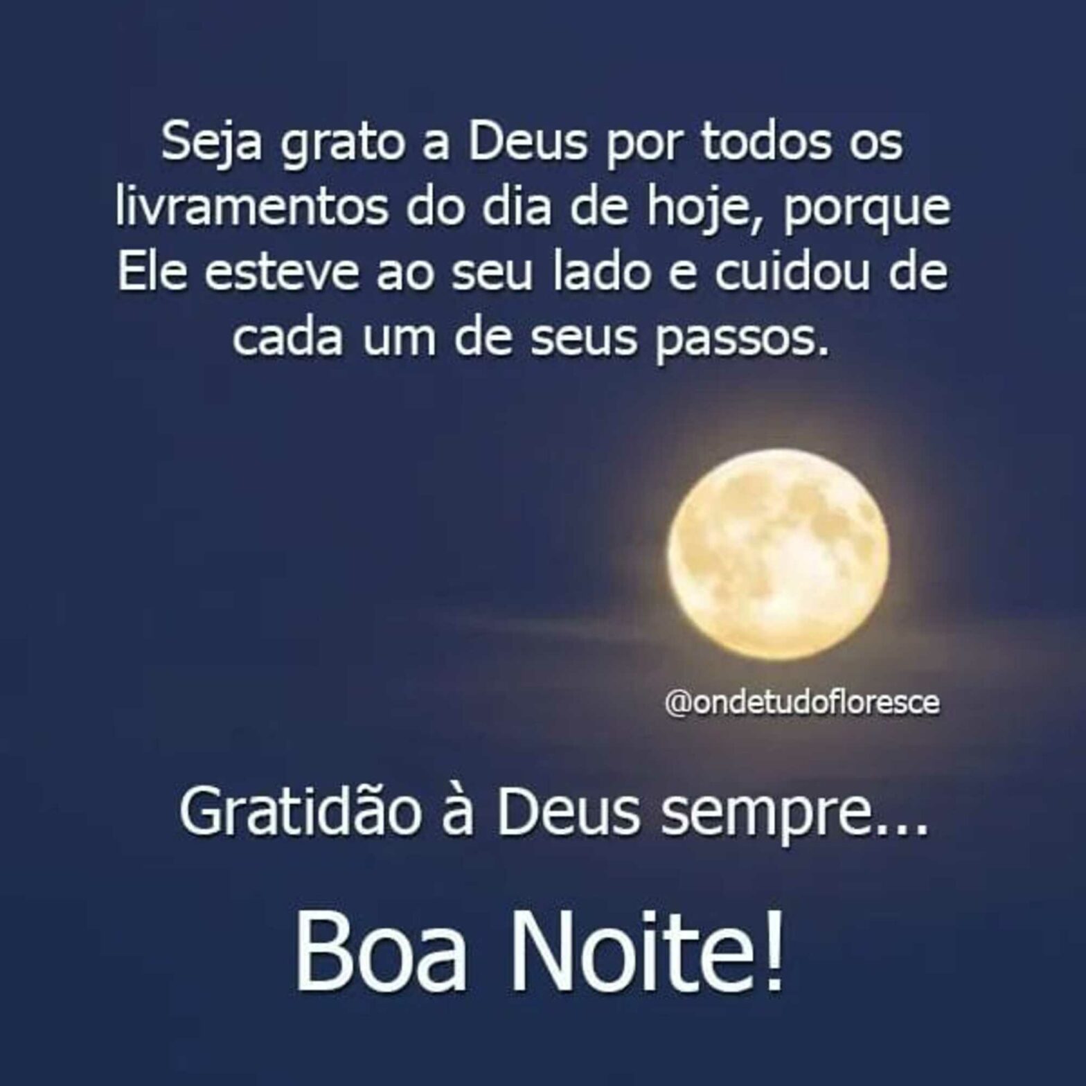 Boa noite amigos e que Deus os abençoe - Frases Diárias