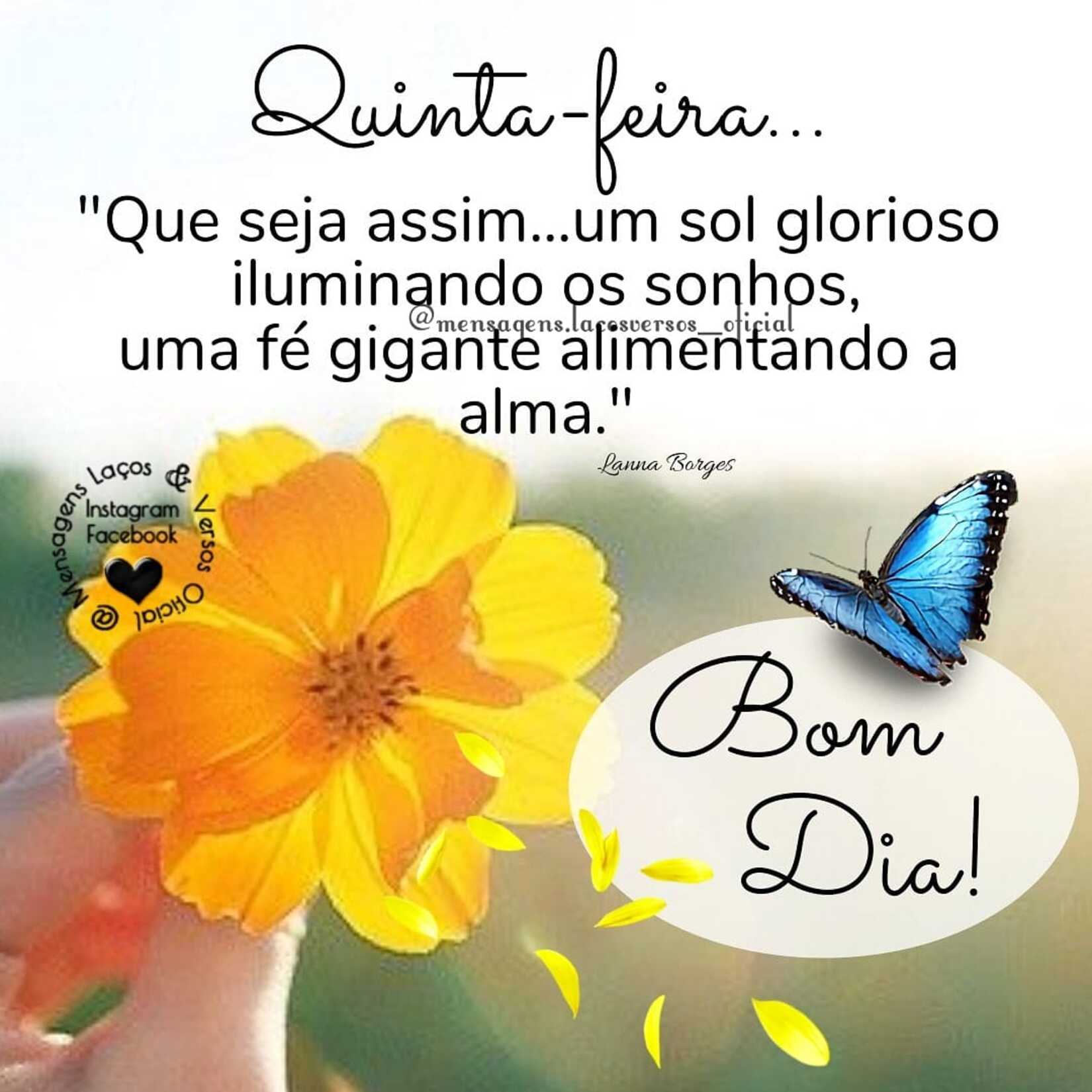 25 imagens lindas para Quinta-feira - PraHoje.net