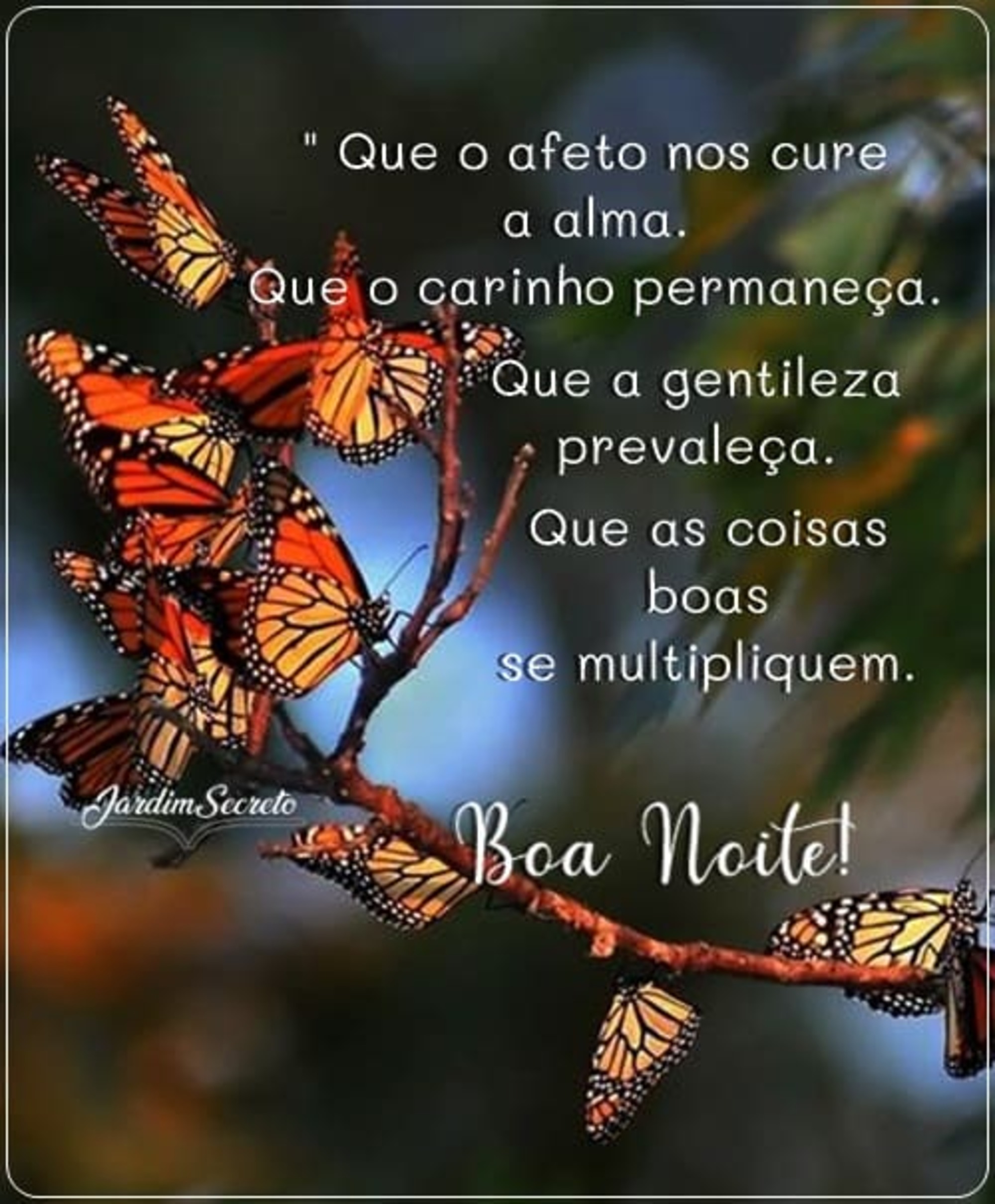 Boa Noite lindas imagens e frases - PraHoje.net