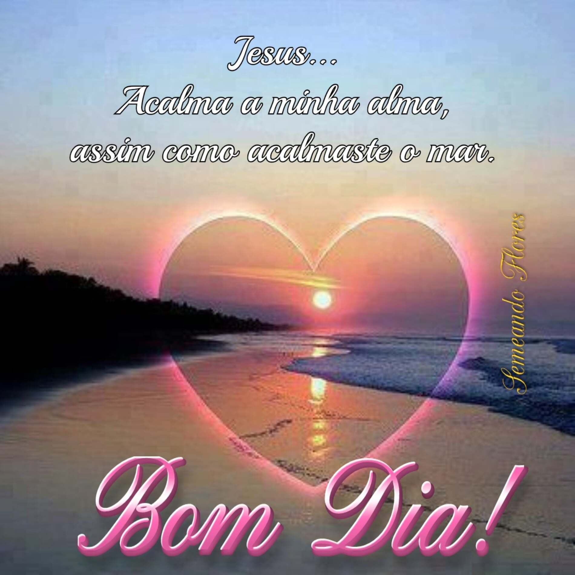 Frases e imagens de Bom Dia para Whatsapp - PraHoje.net