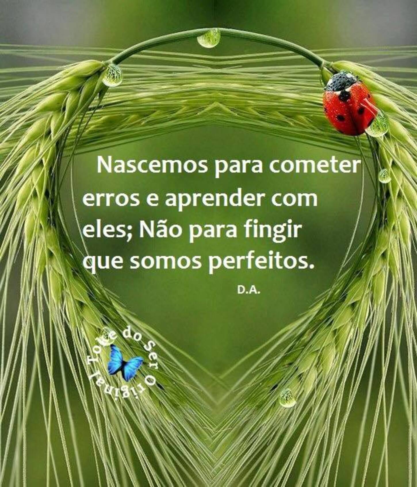 Novas Frases Para Instagram Prahoje Net Novas Frases Para Instagram Prahoje Net