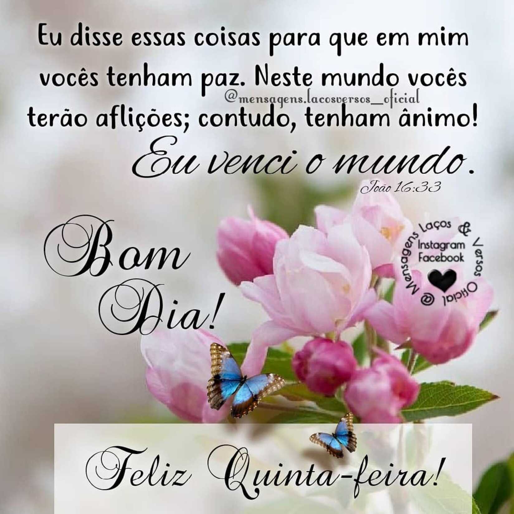 Quinta-feira Archives Quinta-feira Archives
