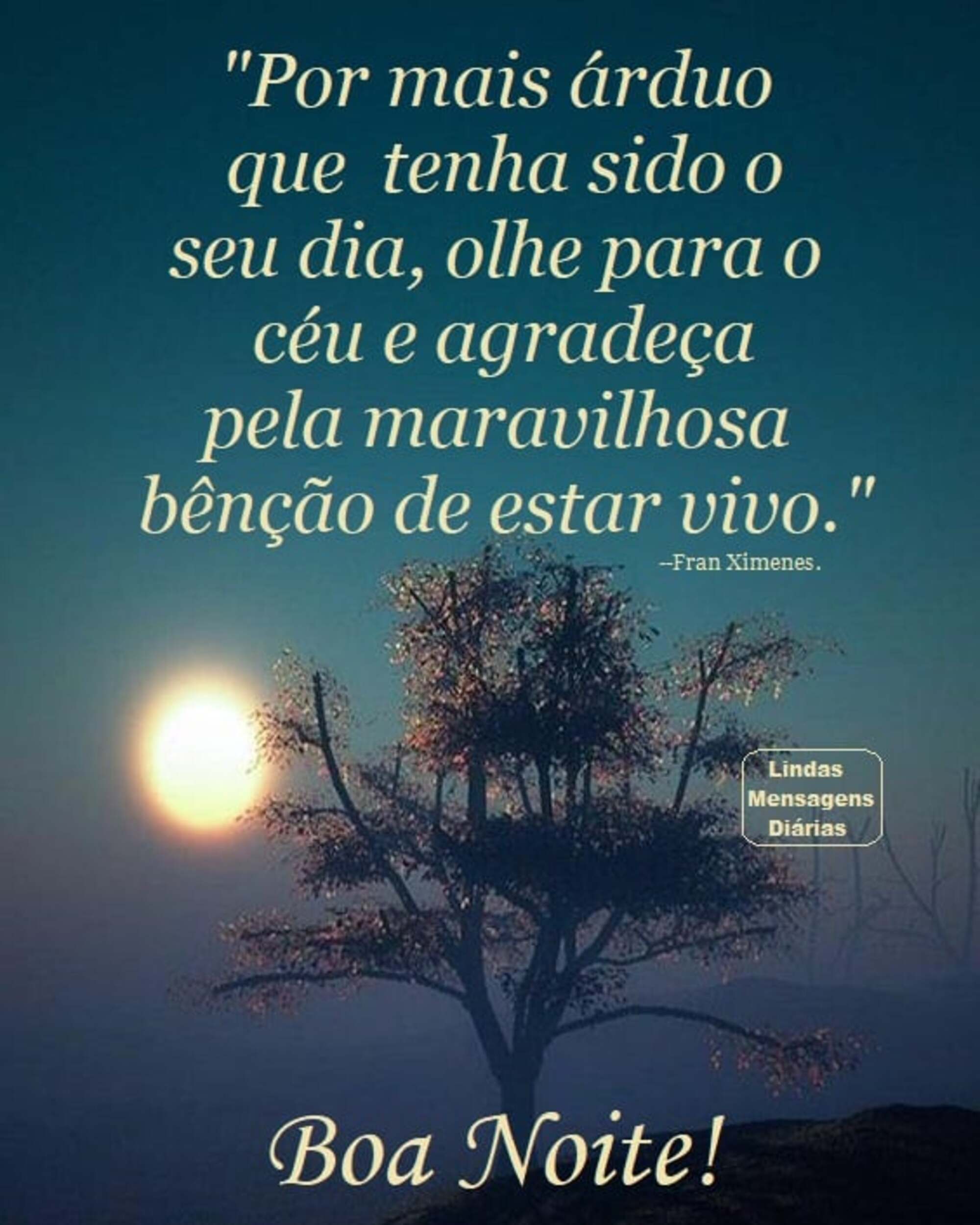25 Mensagens de Boa Noite pra Whatsapp - PraHoje.net