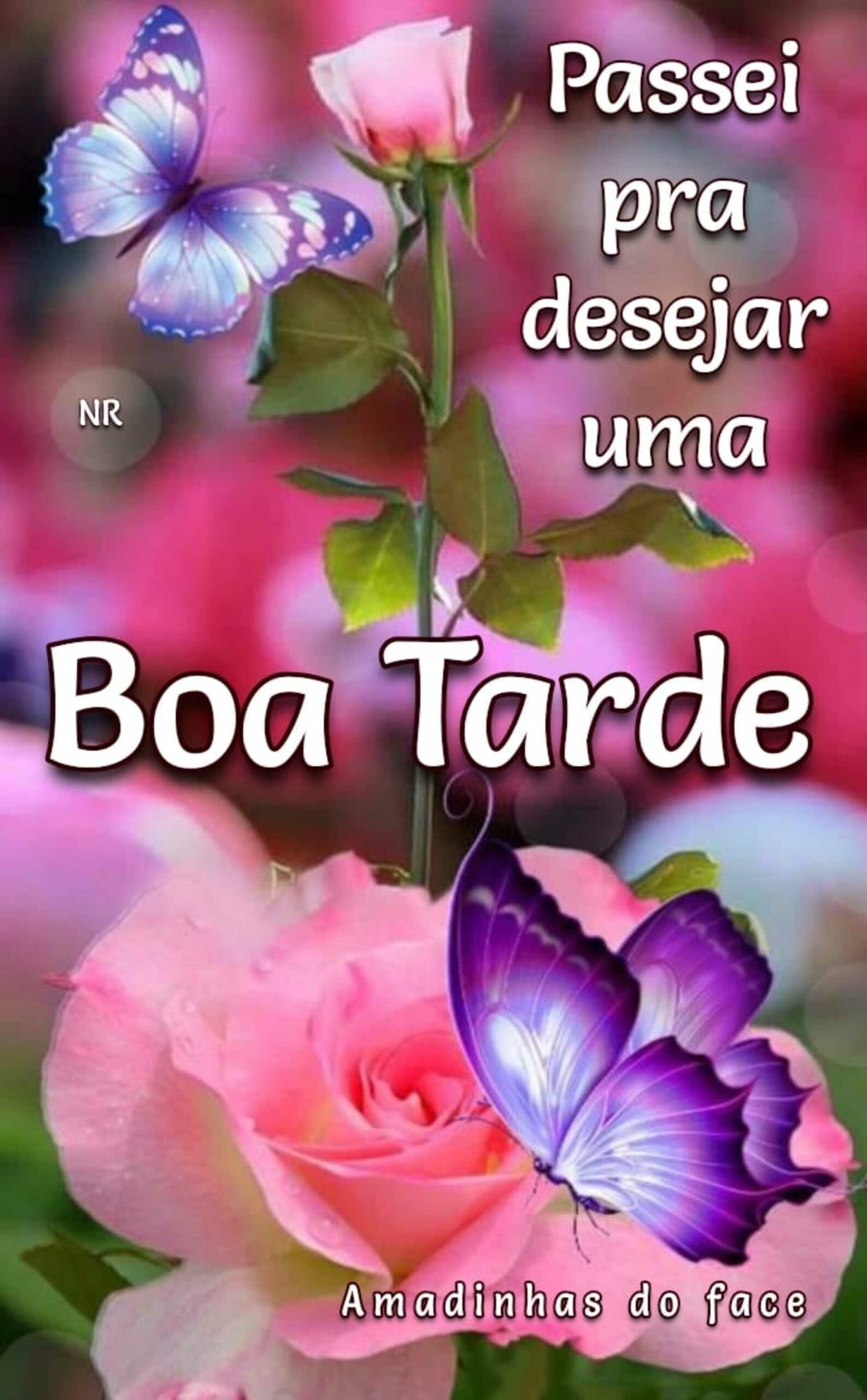 25 Mensagens para WhatsApp de Boa Tarde - PraHoje.net