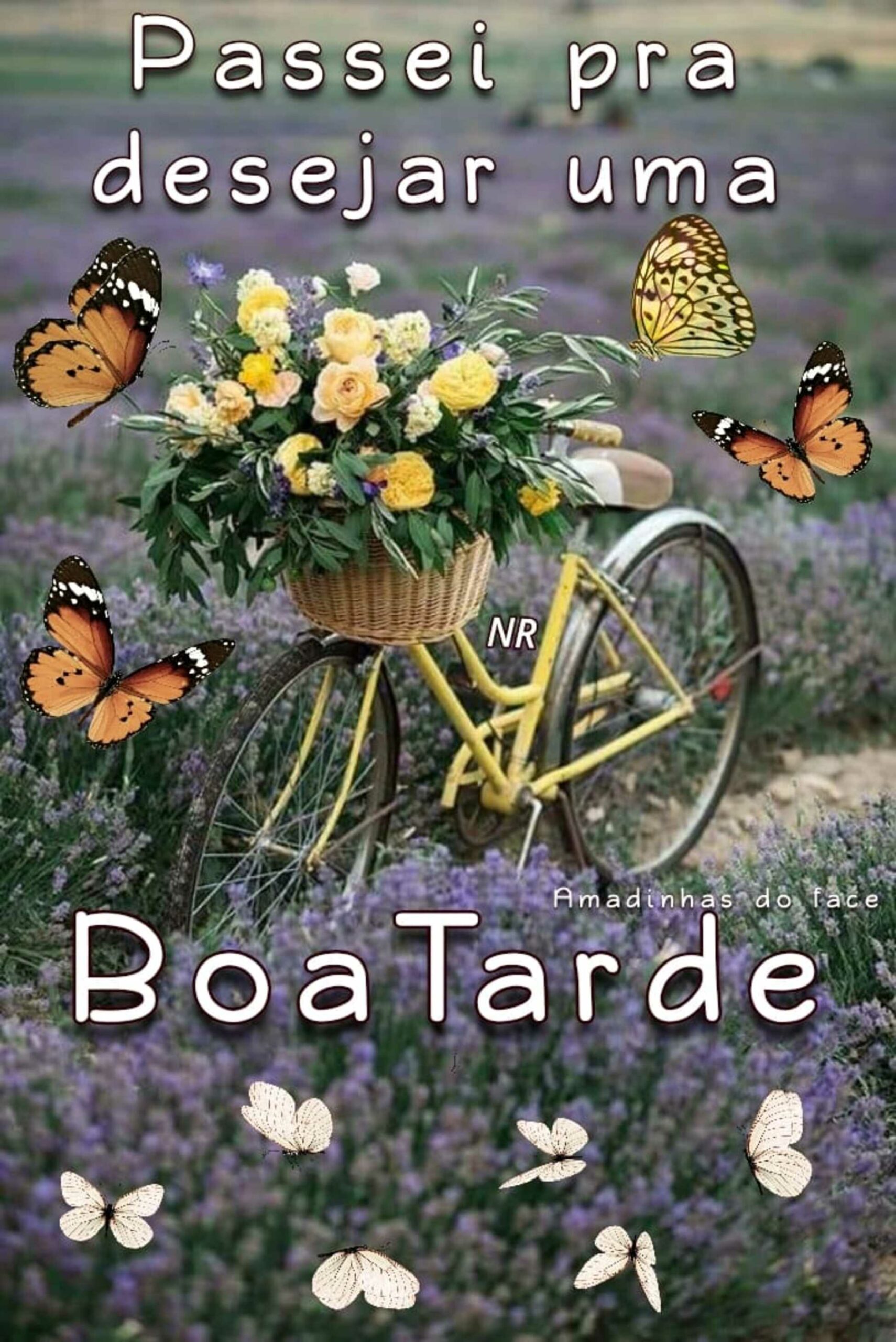 25 Mensagens Para Whatsapp De Boa Tarde Prahoje Net 25 Mensagens Para Whatsapp De Boa Tarde Prahoje Net