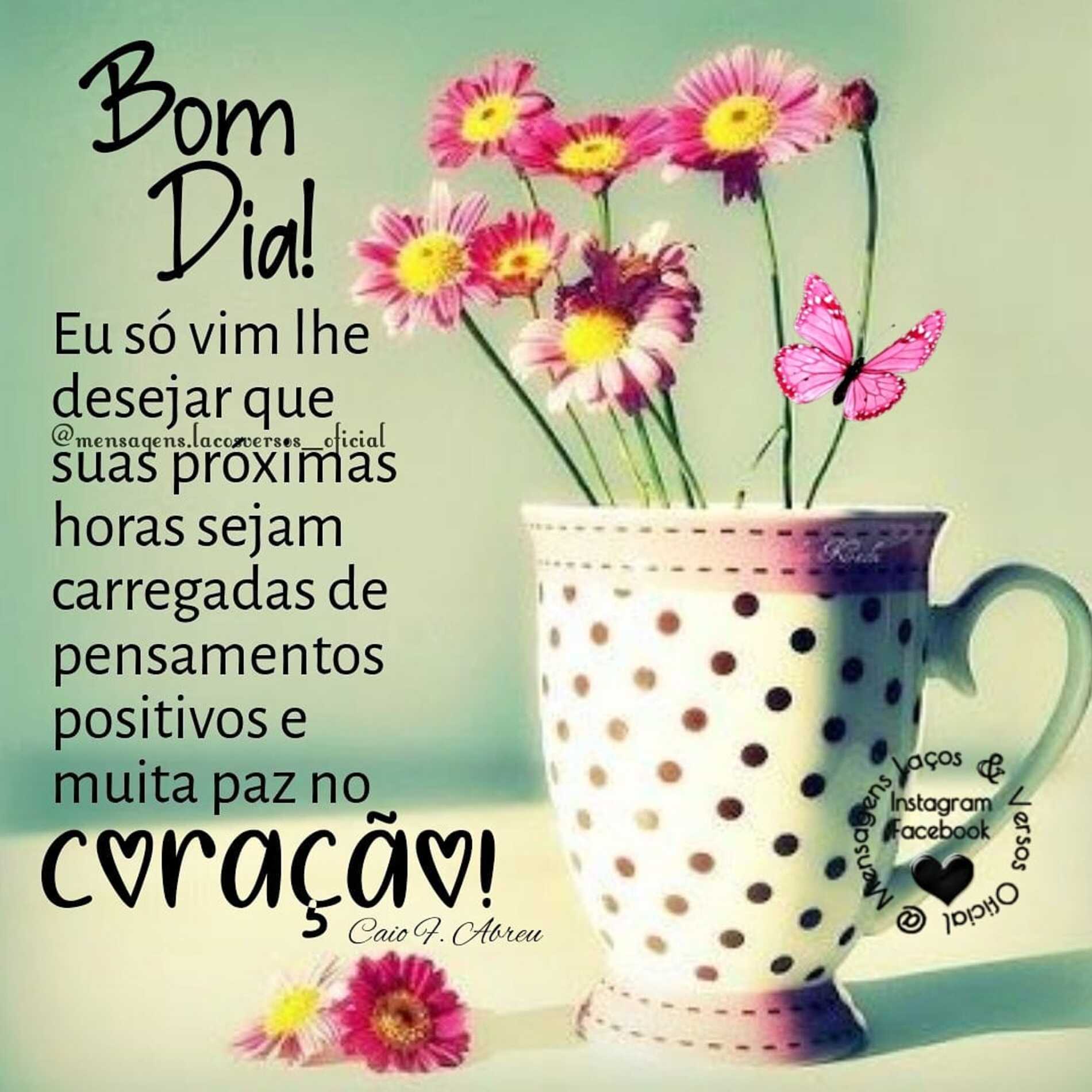 Tenha um Lindo Dia imagens graciosas - PraHoje.net